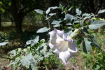 photo thumbnail #8
