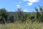 photo thumbnail #9