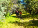 photo thumbnail #5