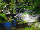 photo thumbnail #7