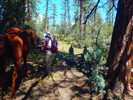 photo thumbnail #9