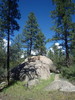 photo thumbnail #11