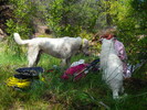 photo thumbnail #13