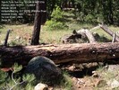 photo thumbnail #15