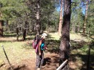 photo thumbnail #6