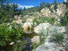 photo thumbnail #9