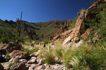 photo thumbnail #5