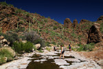 photo thumbnail #11