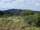 photo thumbnail #13