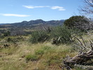 photo thumbnail #6
