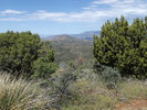 photo thumbnail #9