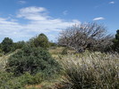 photo thumbnail #12