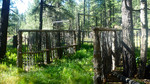 photo thumbnail #3