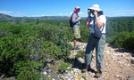 photo thumbnail #1