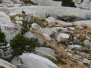 photo thumbnail #9