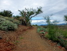 photo thumbnail #3