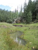 photo thumbnail #7