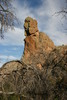 photo thumbnail #8