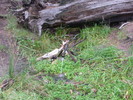 photo thumbnail #2