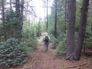 photo thumbnail #5