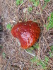 photo thumbnail #6