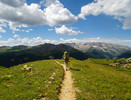 photo thumbnail #10