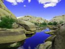 photo thumbnail #8