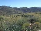 photo thumbnail #7