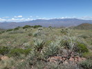 photo thumbnail #13