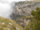 photo thumbnail #13