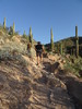 photo thumbnail #8