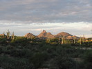 photo thumbnail #1