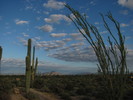 photo thumbnail #5