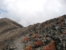 photo thumbnail #14