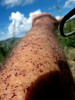 photo thumbnail #12