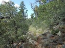 photo thumbnail #12