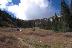 photo thumbnail #4