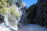 photo thumbnail #15