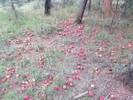 photo thumbnail #7