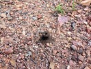 photo thumbnail #10