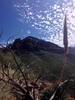 photo thumbnail #14