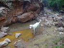 photo thumbnail #8