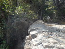 photo thumbnail #11
