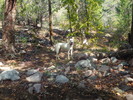 photo thumbnail #15