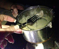 photo thumbnail #8