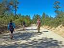 photo thumbnail #2