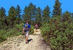 photo thumbnail #11