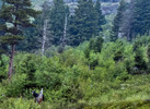 photo thumbnail #10