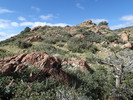 photo thumbnail #3