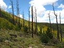 photo thumbnail #9